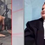 thais-carla-se-emociona-ao-relembrar-comentario-da-filha-apos-ataque-gordofobico